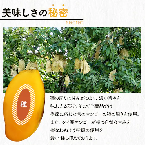 【2袋】 不揃い ドライマンゴー タイ産 500g _2