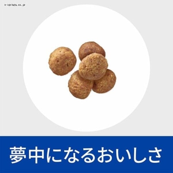 ヒルズ 特別療法食 犬用 腸内バイオーム 小粒 繊維/消化ケア 3kg 