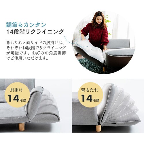 ���N���C�j���O2P�\�t�@ RSFB-127 �u���[_4