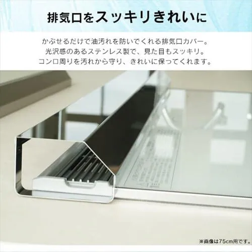 �r�C������h�~�J�o�[ 60cm_2