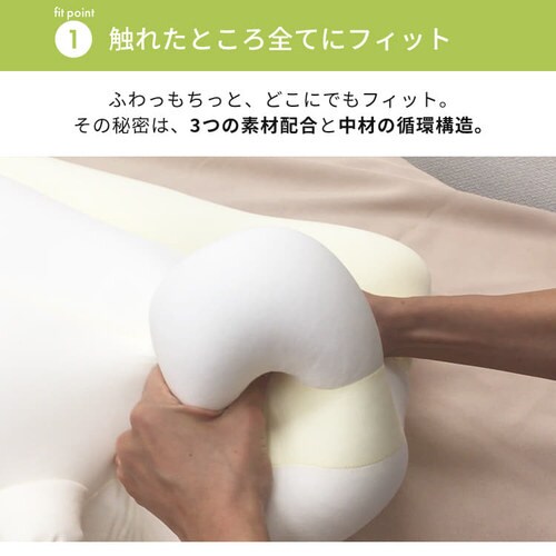 ���fit�̖��܂��� ������ �v���~�A�� �T�[�����s���N _5