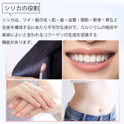 �y48�{�zSOL �V���J �Y�_�� 500ml ���x�����X �v���[���y������s�z_6