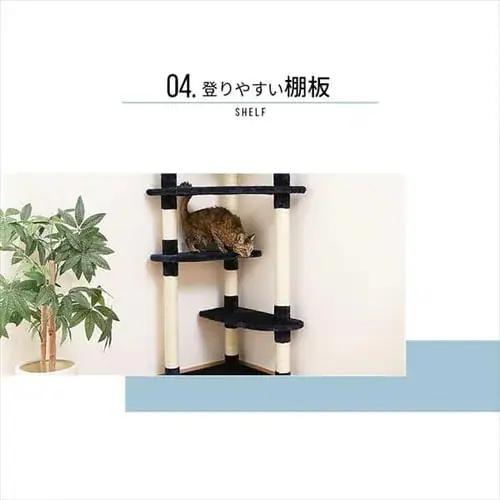 �y�󂠂�z�L���b�g�^���[ �c�C���˂����� �x�[�W���@_8