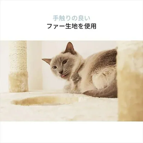 �y�󂠂�z�L���b�g�^���[ �c�C���˂����� �x�[�W���@_11