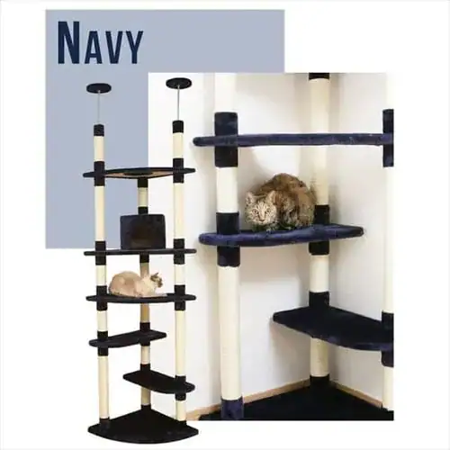 �y�󂠂�z�L���b�g�^���[ �c�C���˂����� �x�[�W���@_14