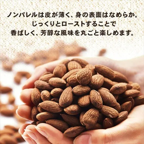 �f�Ă��A�[�����h�i�b�c ���� 850�� �y������s�z_6