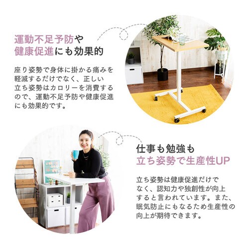 ���~�X�^���f�B���O�f�X�N LSDK-700 �u���E��_4