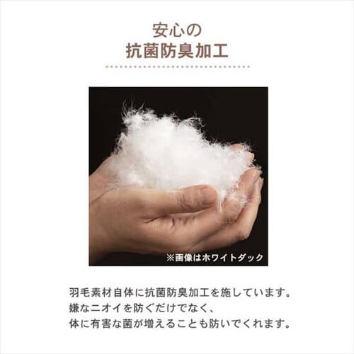 �|���z�c �V���O�� �H�� SDD85% �y�C�Y���[�s���N_4