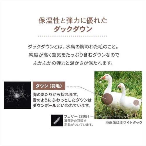 �|���z�c �V���O�� �H�� SDD85% �y�C�Y���[�s���N_9