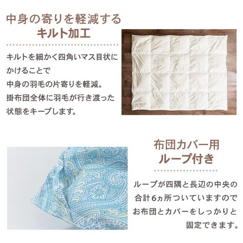 �|���z�c �V���O�� �H�� SDD85% �y�C�Y���[�s���N_15