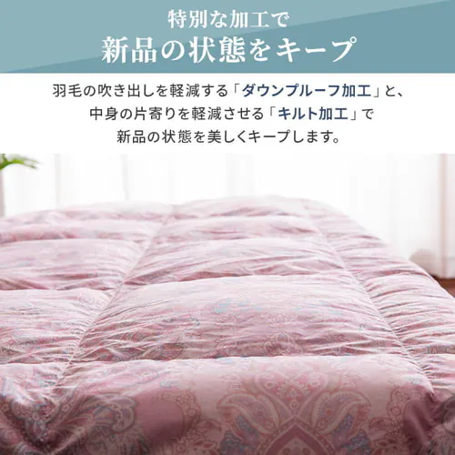 �|���z�c �V���O�� �H�� WDD90�� �y�C�Y���[�s���N_12