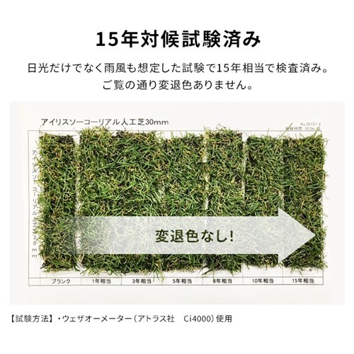 3点セット】人工芝 1m×10m 芝丈30mm IP-30110 【U字ピン72本付き