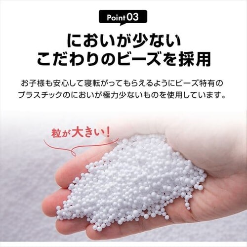 �r�[���YMAX ��[�p�r�[�Y 750g _8