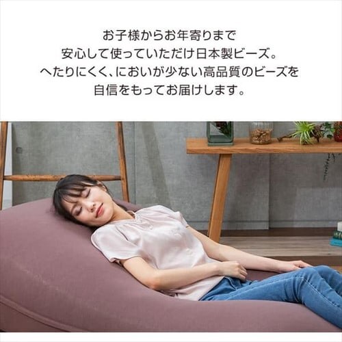 �r�[���YMAX ��[�p�r�[�Y 750g _10