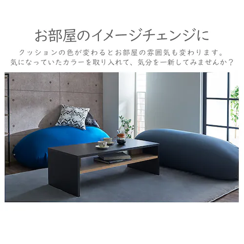 �r�[���YMAX ��p�􂢑ւ��J�o�[ �u���[_5