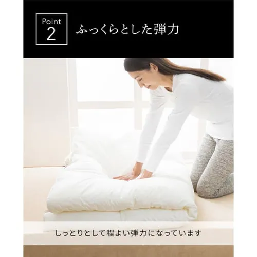 �z�e���X�^�C���|���z�c �V���O�� �A�C�{���[ HSCF-1500 _6