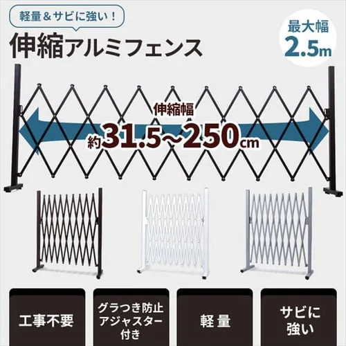 2.5M�L�k�t�F���X AF-2500 �O���[_2