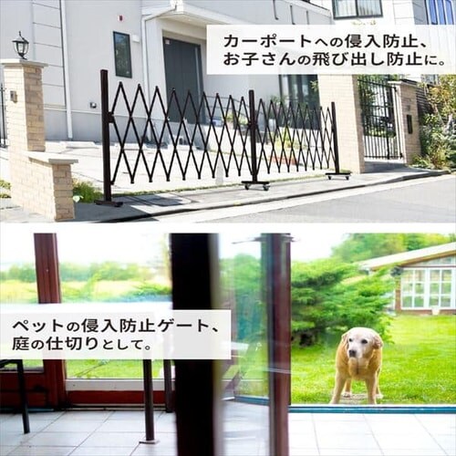 5M�L�k�t�F���X KT1015-1 �u���E��_7