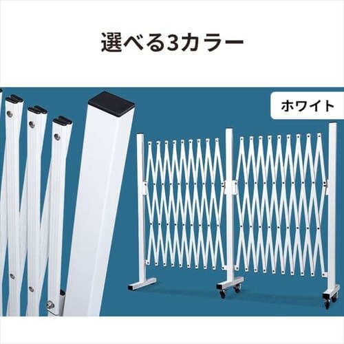 5M�L�k�t�F���X KT1015-1 �u���E��_12