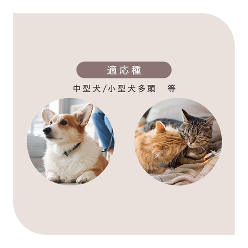 �������� �y�b�g�x�b�h �\�t�@�[ �k�T�C�Y �u���E��_10