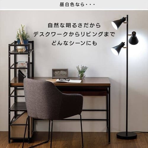 �y�󂠂�z�X�^���h���C�g E26 PFL-3S-B �u���b�N _8