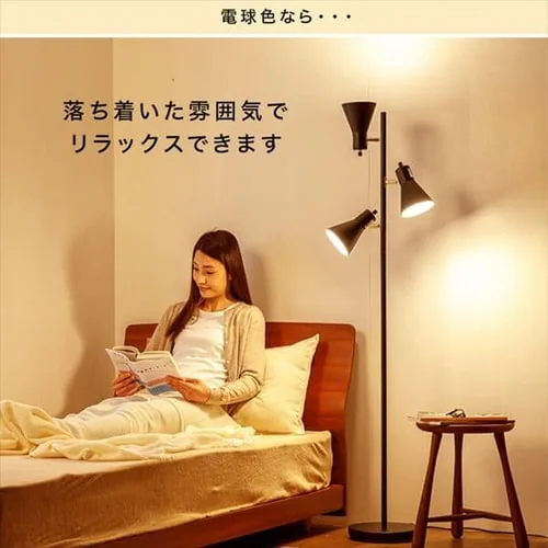 �y�󂠂�z�X�^���h���C�g E26 PFL-3S-B �u���b�N _11
