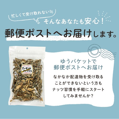 �������A�[�����h 300g�y������s�z_7