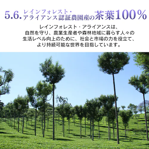 ティーバッグ _12