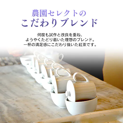 ティーバッグ _13