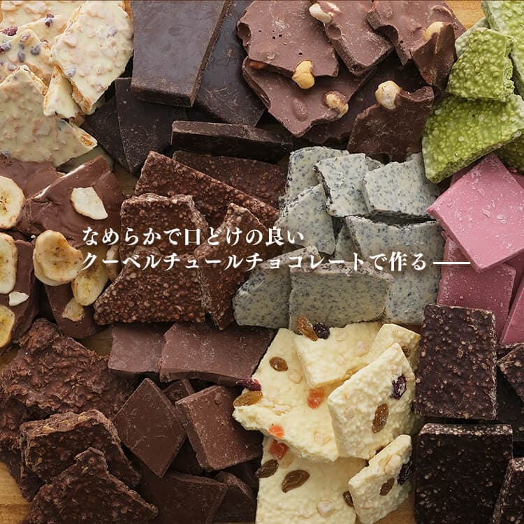 割れチョコミックス 1kg 10種 7177756│アイリスオーヤマ公式通販