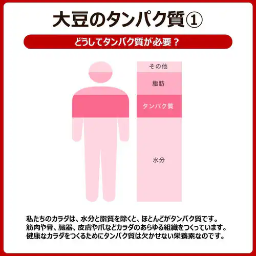 大塚製薬 【12食】ソイジョイ 3種のレーズン_10