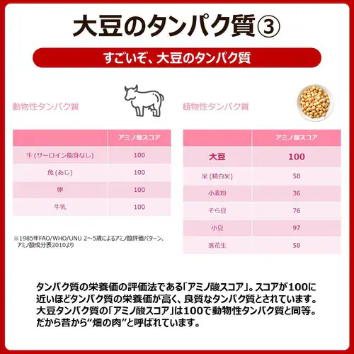 大塚製薬 【12食】ソイジョイ 3種のレーズン_12