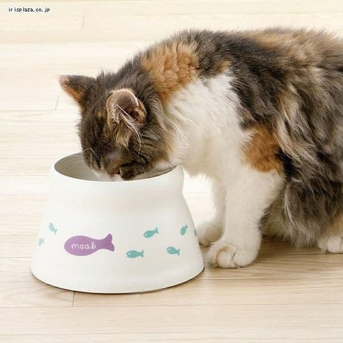 ���b�`�F�� ���ڂ�ɂ��� �r�t�L���b�g�f�B�b�V�� S �z���C�g _2