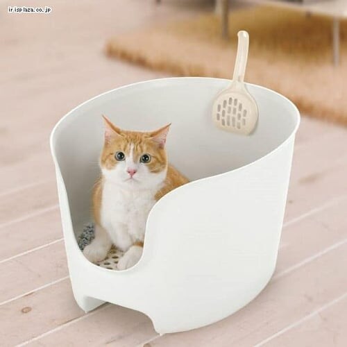 ���b�`�F�� ���v�� �Ǎ��l�R�g�C�� �R�[�����s���N_2