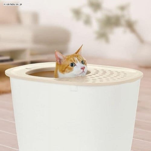 ���b�`�F�� ���v�� �����l�R�g�C�� �_�[�N�O���[_2