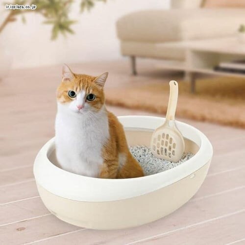 ���b�`�F�� ���v�� �l�R�g�C�� S �z���C�g_2