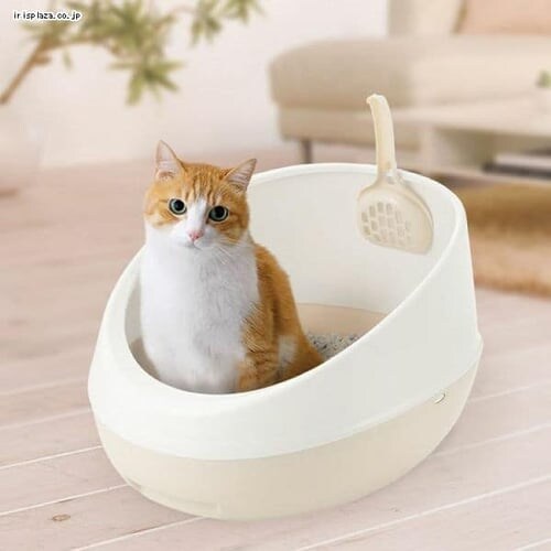 ���b�`�F�� ���v�� �l�R�g�C�� �n�[�t�J�o�[ �_�[�N�O���[_2