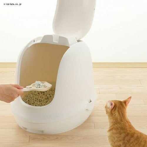 ���b�`�F�� ���v�� �l�R�g�C�� �t�[�h�t �z���C�g_2