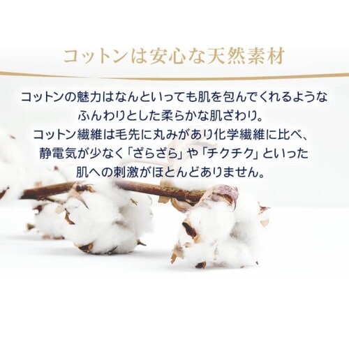 �|���z�c�J�o�[ �Z�~�_�u�� �v���~�A���R�b�g�� �l�C�r�[_5