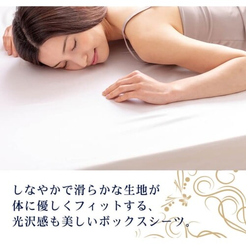 �v���~�A���R�b�g�� �{�b�N�X�V�[�c �V���O�� BSTH-S �S3�F_3