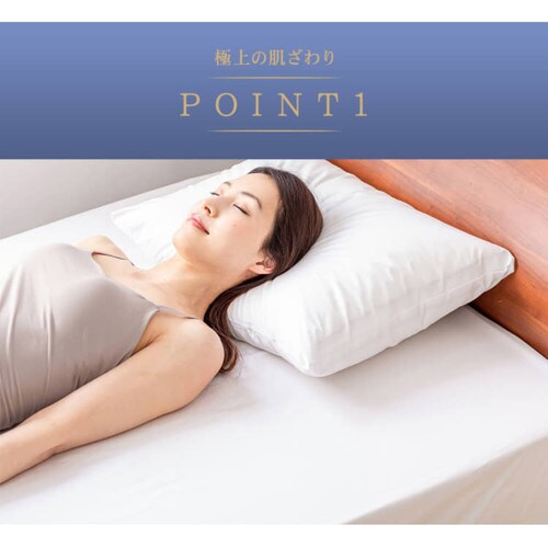 �v���~�A���R�b�g�� �{�b�N�X�V�[�c �V���O�� BSTH-S �S3�F_4