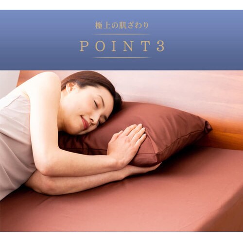 �v���~�A���R�b�g�� �{�b�N�X�V�[�c �V���O�� BSTH-S �S3�F_9