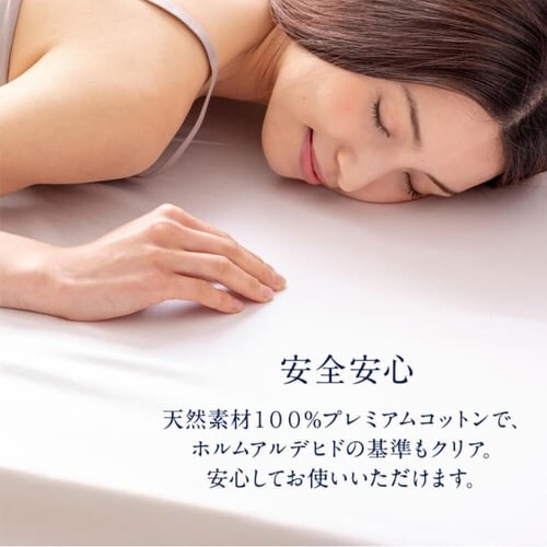 �v���~�A���R�b�g�� �{�b�N�X�V�[�c �V���O�� BSTH-S �S3�F_11