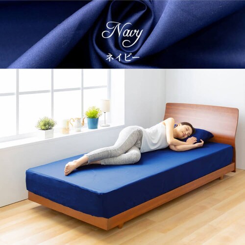 �v���~�A���R�b�g�� �{�b�N�X�V�[�c �V���O�� BSTH-S �S3�F_15