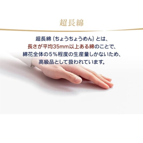 �{�b�N�X�V�[�c �Z�~�_�u�� �v���~�A���R�b�g�� �u���E��_6