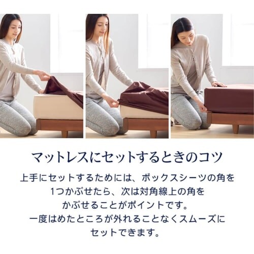 �{�b�N�X�V�[�c �Z�~�_�u�� �v���~�A���R�b�g�� �u���E��_14