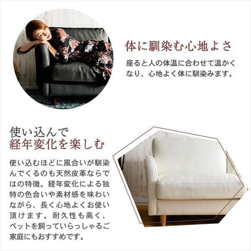 �|�P�b�g�R�C���{�v�\�t�@ 3P PLSF-3 �u���b�N_8