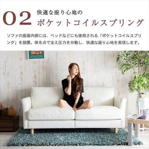 �|�P�b�g�R�C���{�v�\�t�@ 3P PLSF-3 �u���b�N_9