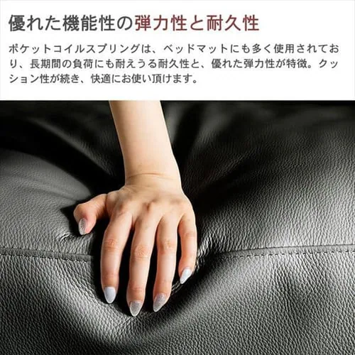 �|�P�b�g�R�C���{�v�\�t�@ 3P PLSF-3 �u���b�N_11