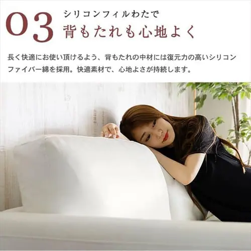 �|�P�b�g�R�C���{�v�\�t�@ 3P PLSF-3 �u���b�N_12